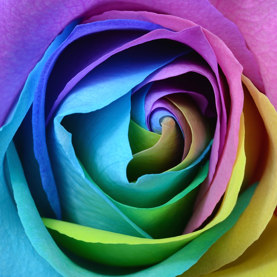 2019 Fashion Colour Trends